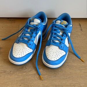 Nike Dunk Coast Women’s 7.5